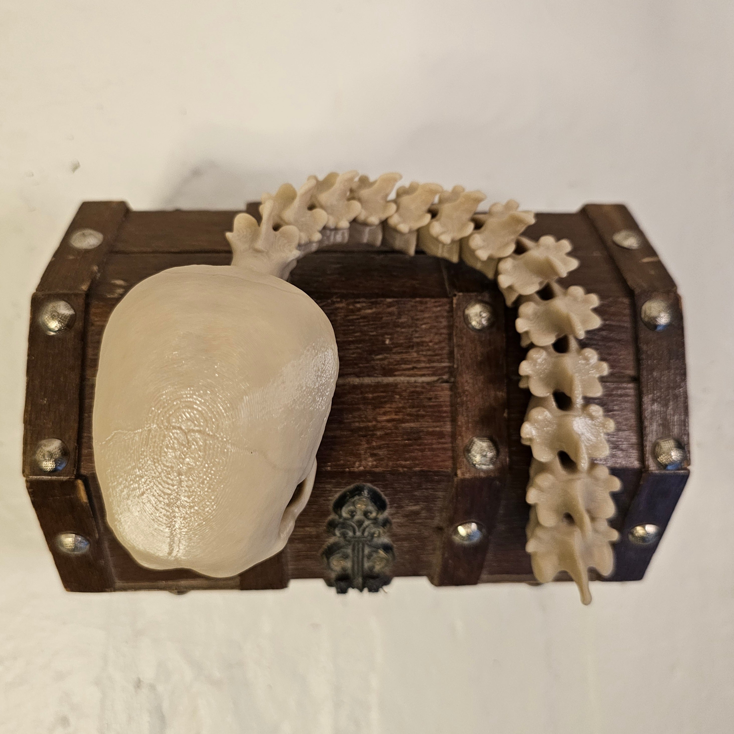 Predator Skull Trophy