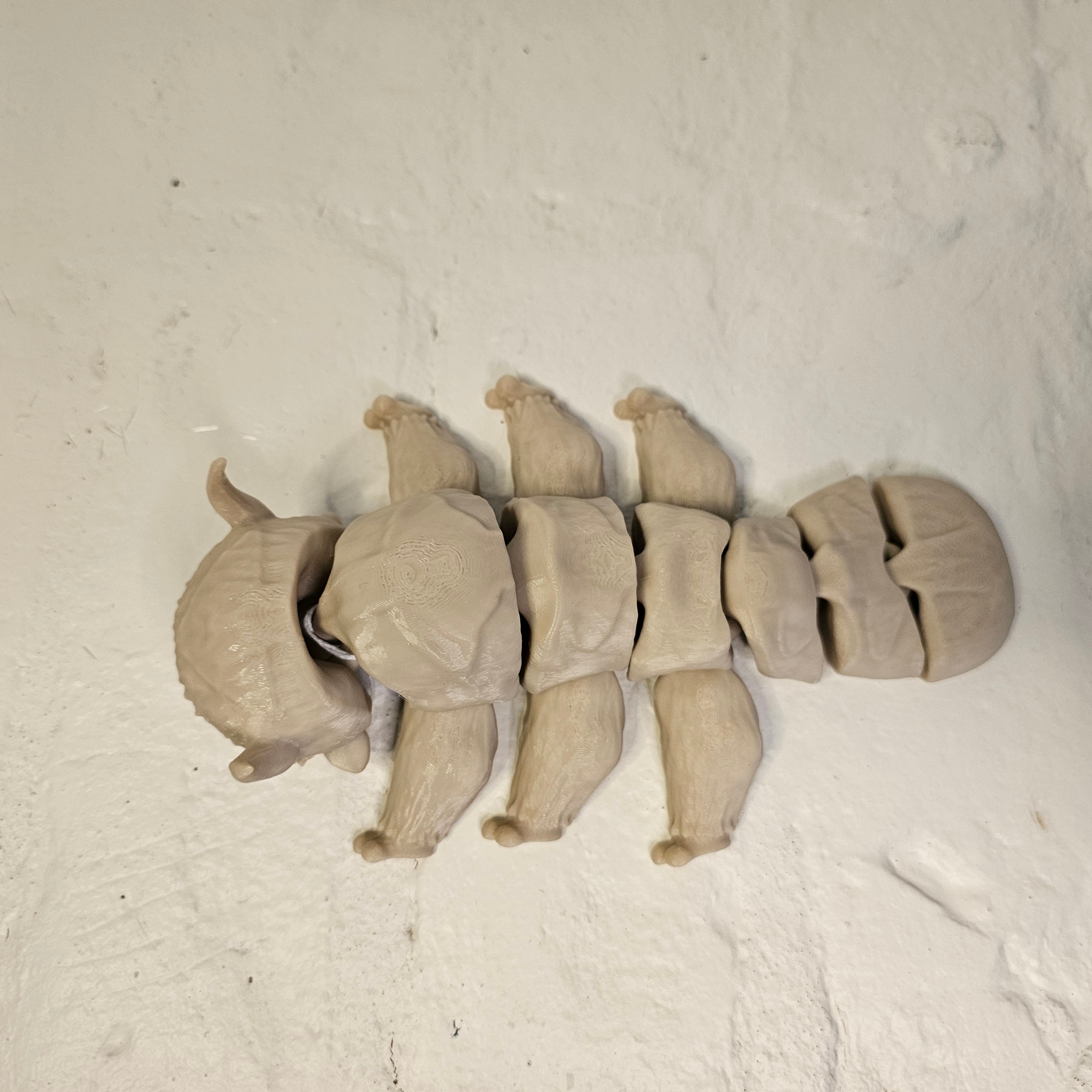 Flexi Appa The Sky Bison