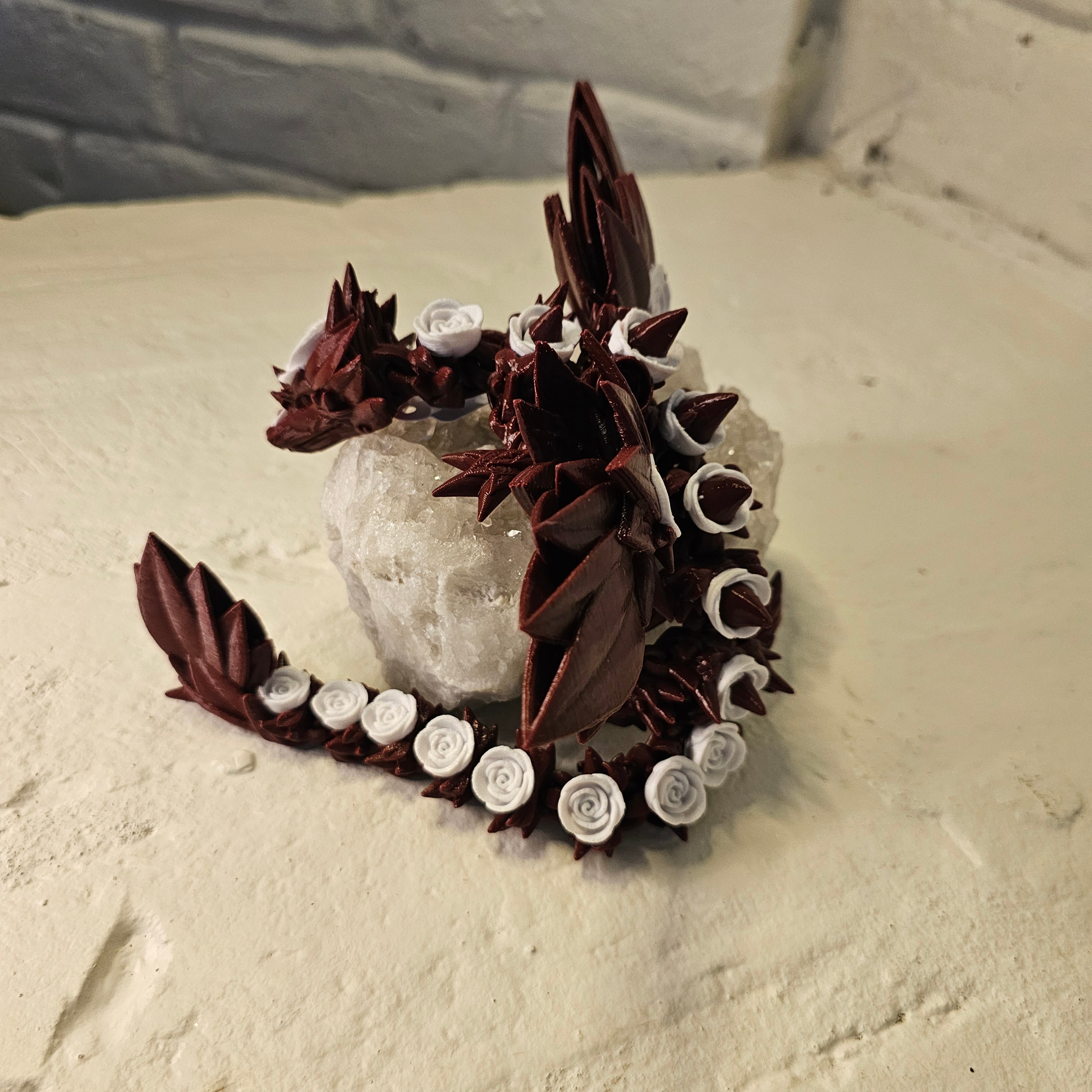 Rose Thorn Dragons🌹