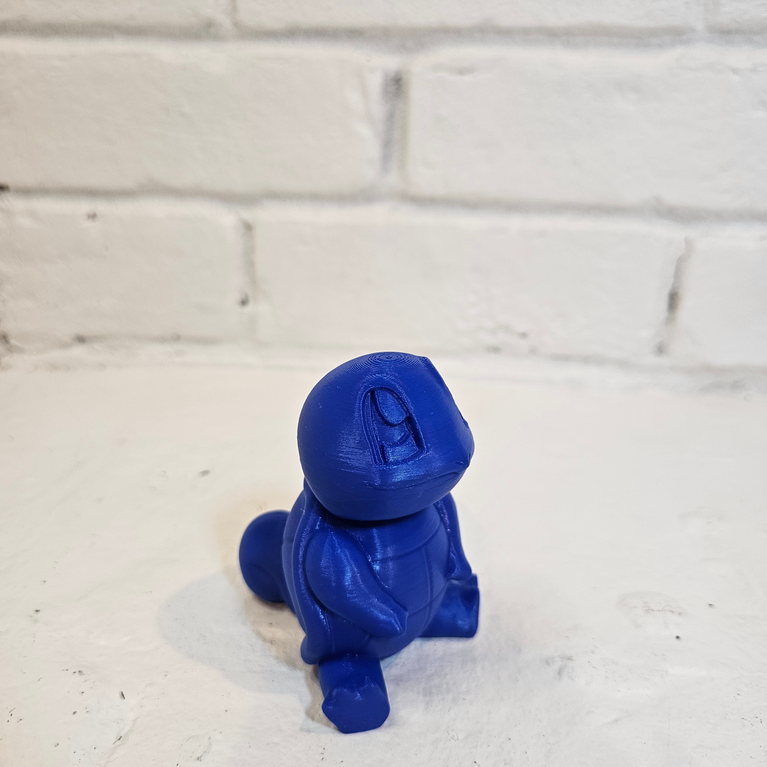 Squirtle starter🥴