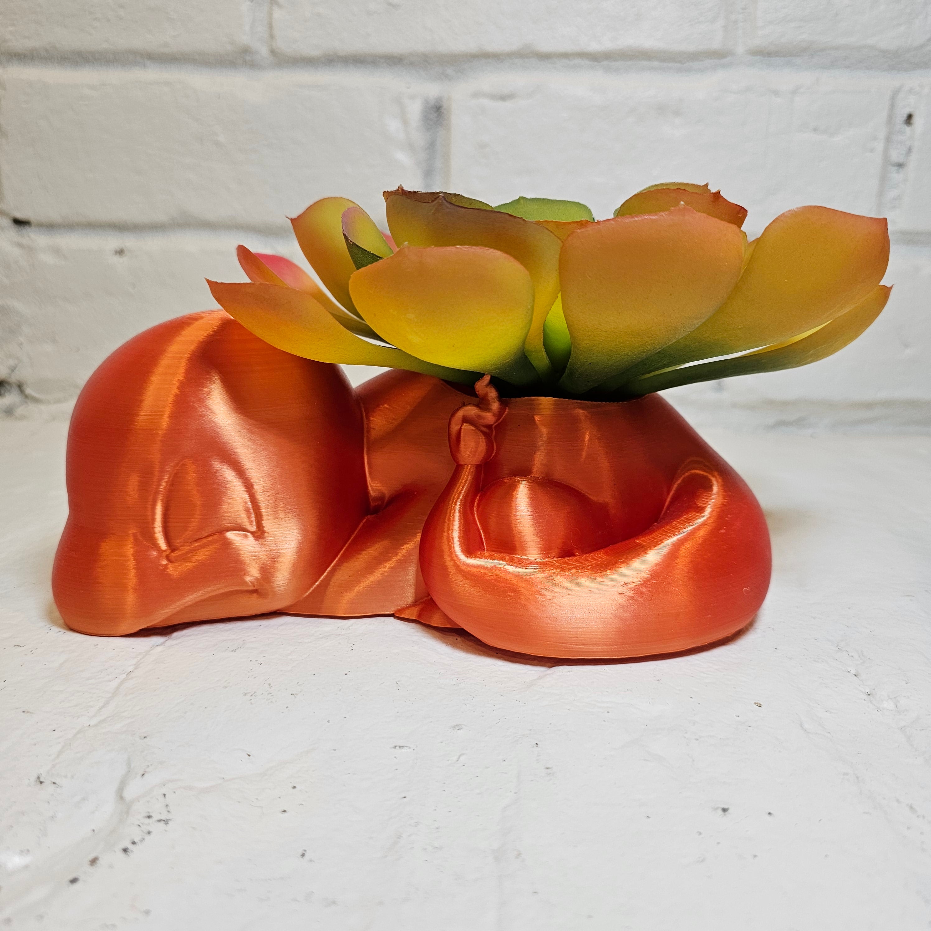 Charmander Planter😒