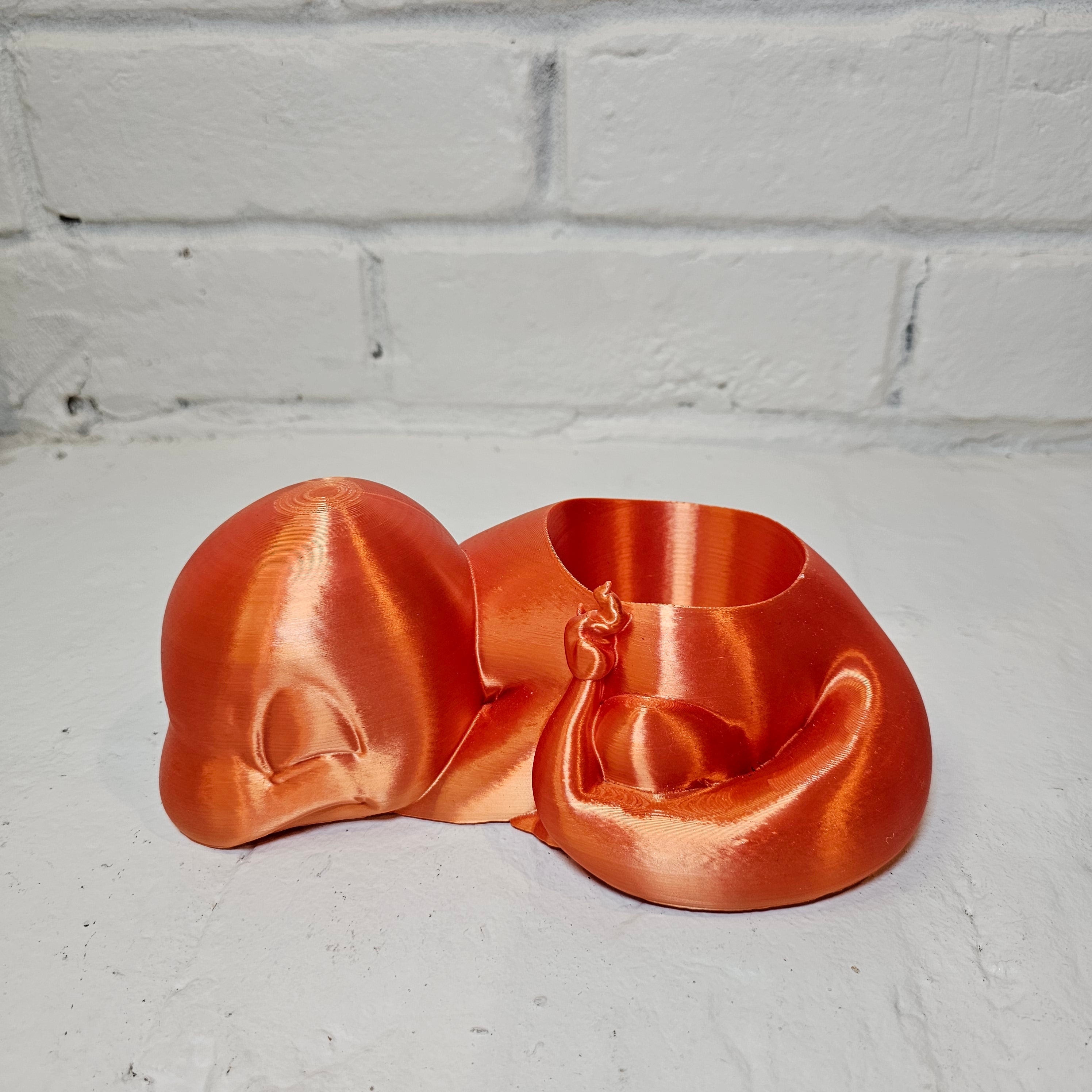 Charmander Planter😒