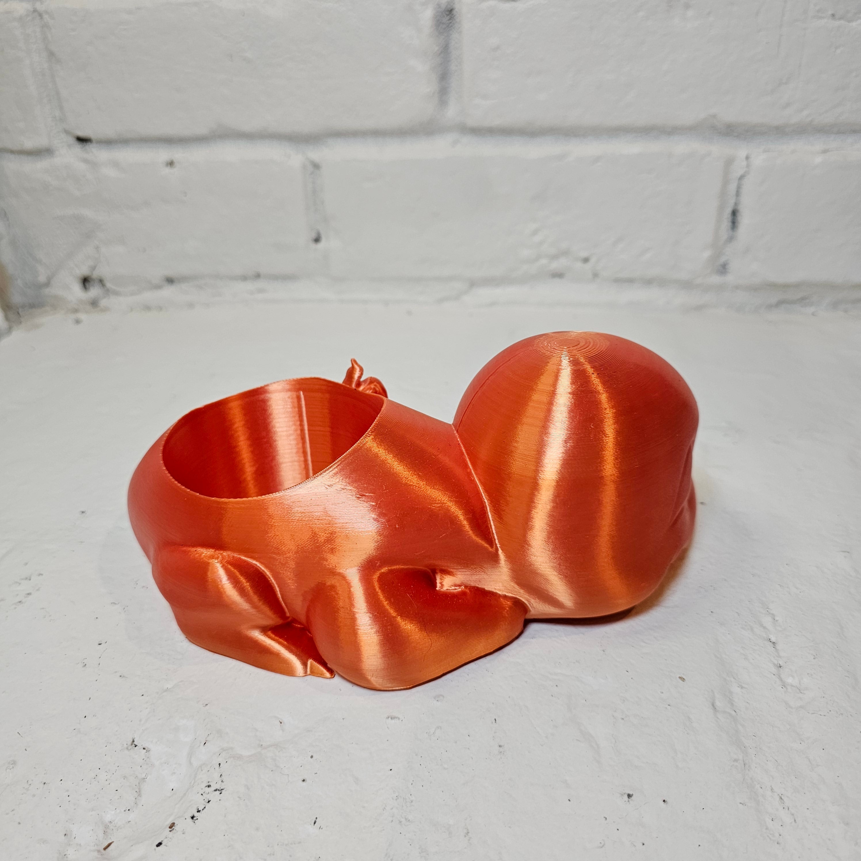 Charmander Planter😒