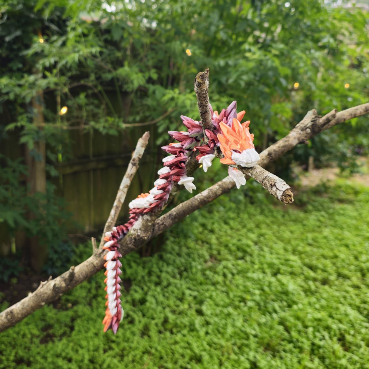 Pride dragon set Lesbian bundle deal🤫